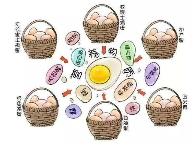 遍尋菜譜收集的雞蛋7中新吃法，第2中最好，第7中最營養